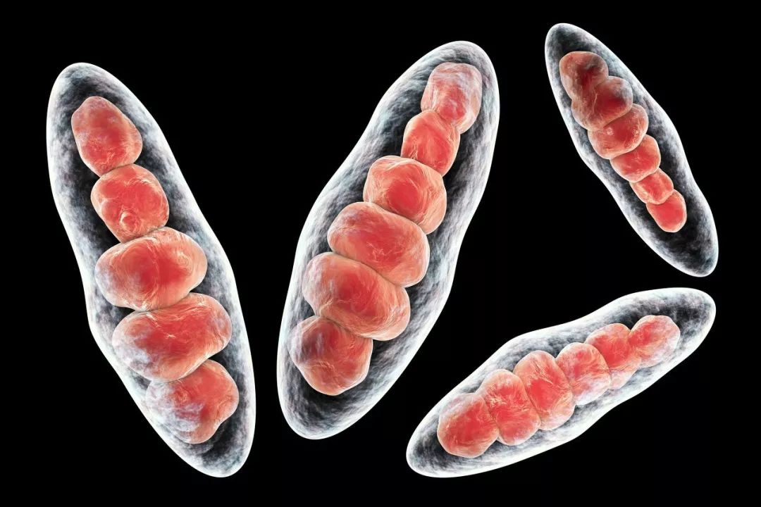 袜子裤装可以一起洗吗,袜子和裤袜能一起洗吗