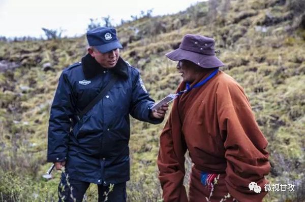 守卫虫草山民警,驻守海拔4800米护航虫草采挖