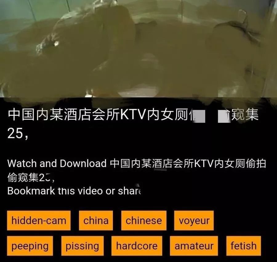 每一个镜头背后拍摄的都是什么,每个抓拍摄像头都拍压线么