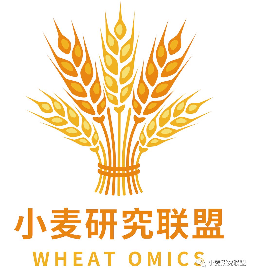 暖冬最新消息,倒春寒真的要来了