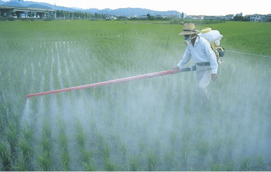 有5种农药被禁用,4种农药被禁用