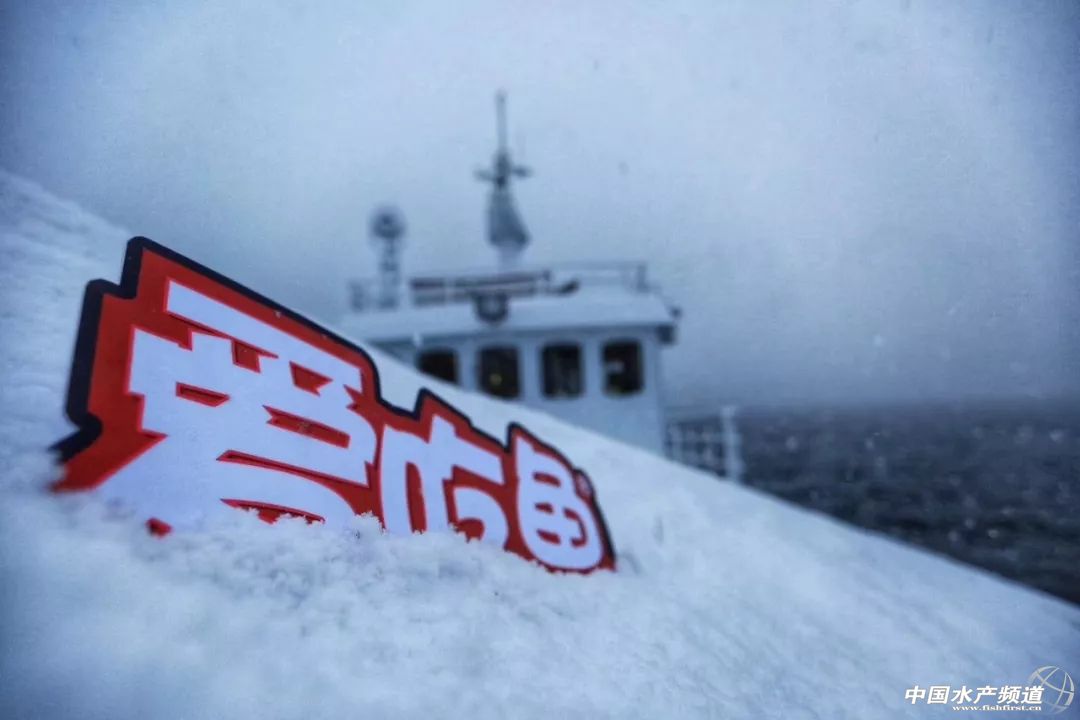 为什么今年的海鲜生意这么难做,深度分析你为什么赚不到钱