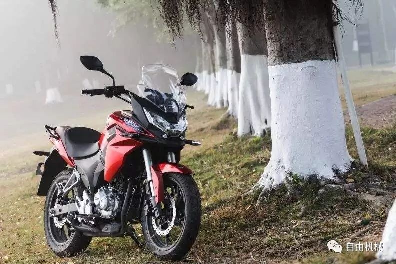 入门拉力车型推荐,不超两万的车