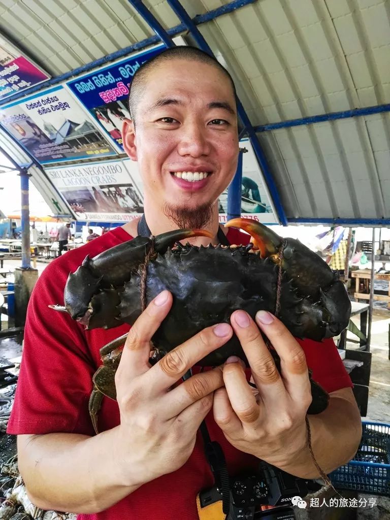 丝路东游记29视频,丝路东游记锡兰