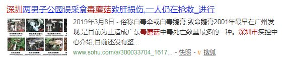 我市权威部门发布紧急提醒！中毒高发季，坚决不采不购不食用
