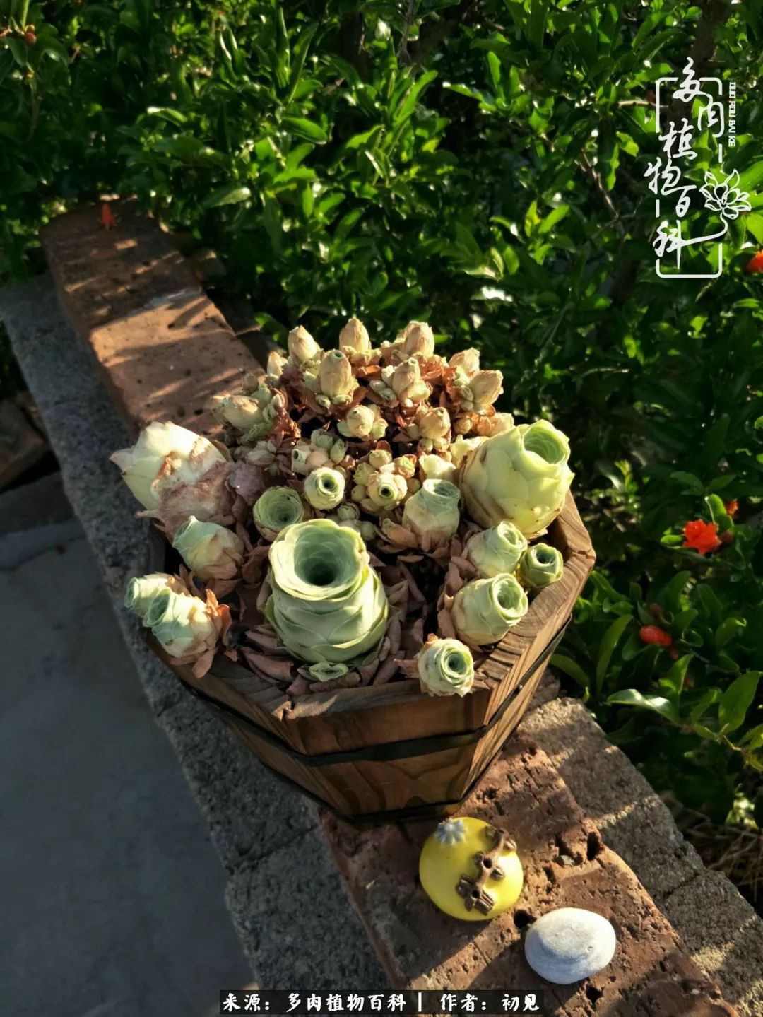 紧张的高三生活也需要适度的放松,紧张焦虑高考