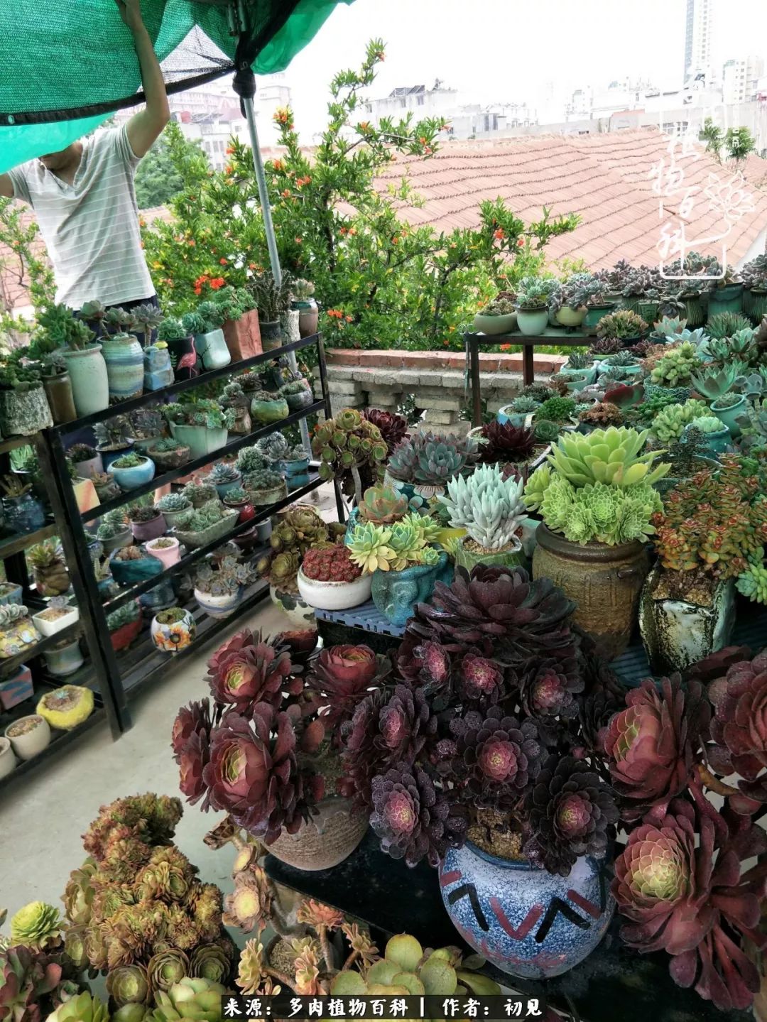 紧张的高三生活也需要适度的放松,紧张焦虑高考