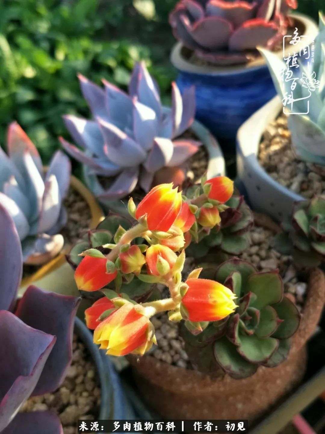 紧张的高三生活也需要适度的放松,紧张焦虑高考