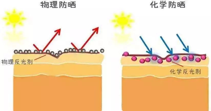 明星们都在用的平价防晒,平价好用又大瓶的防晒