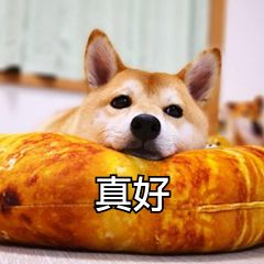 中欧班列2019年成都开行车次,成都中欧班列累计开行超过8000列