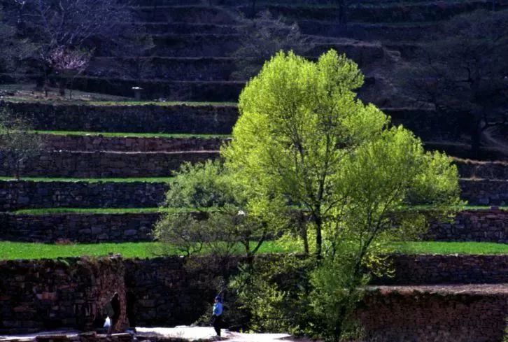九月免门票景区郭亮村门票,河南省免门票爬山