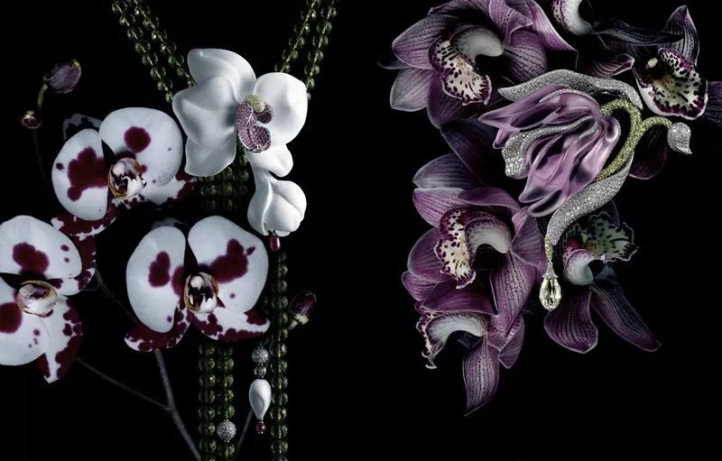 卡地亚腕表北京专柜,卡地亚北京珠宝展