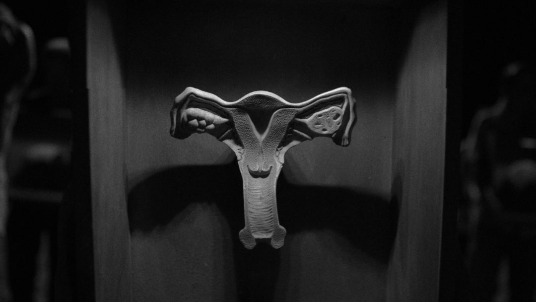 足不出户带你领略美景,探访瑞士