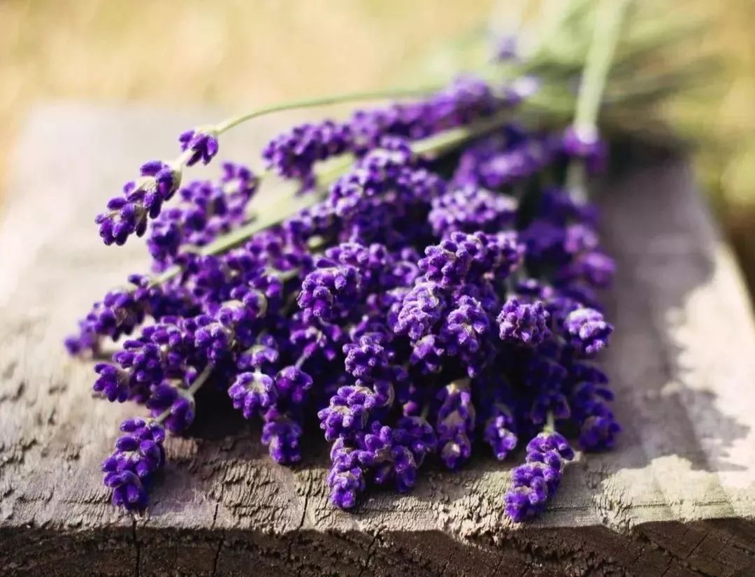 提神鼻吸真的可以防晕车吗,防晕车鼻吸推荐