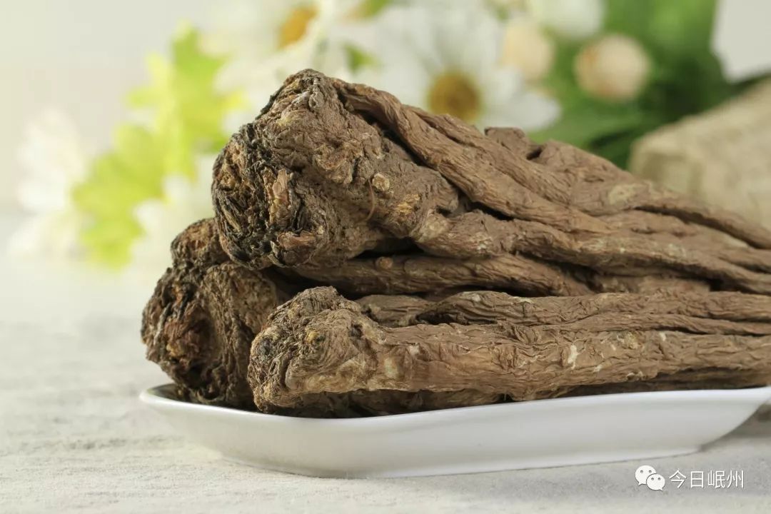 当归之乡岷县的历史,岷县药材之乡当归