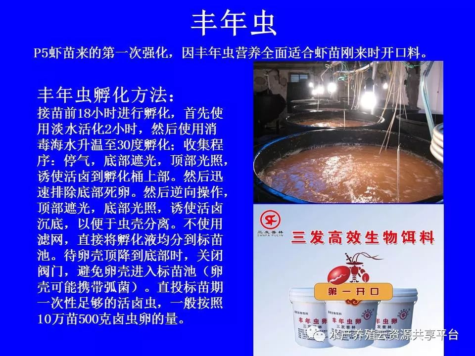 工厂化养殖南美白对虾技术详解,工厂化南美白对虾养殖全过程