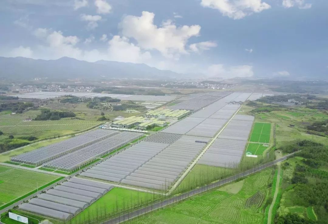 毕业了旅行去哪里,毕业旅行地方