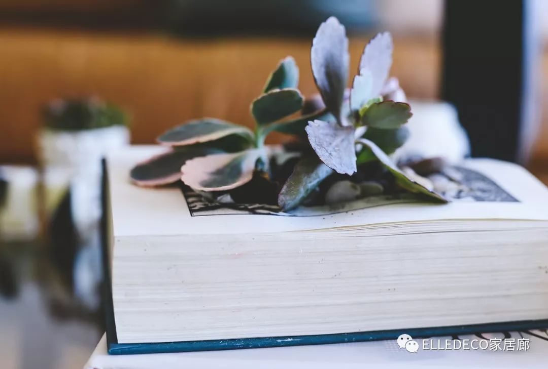 一家人住毛坯房上瘾,一个人住久了会怒吗