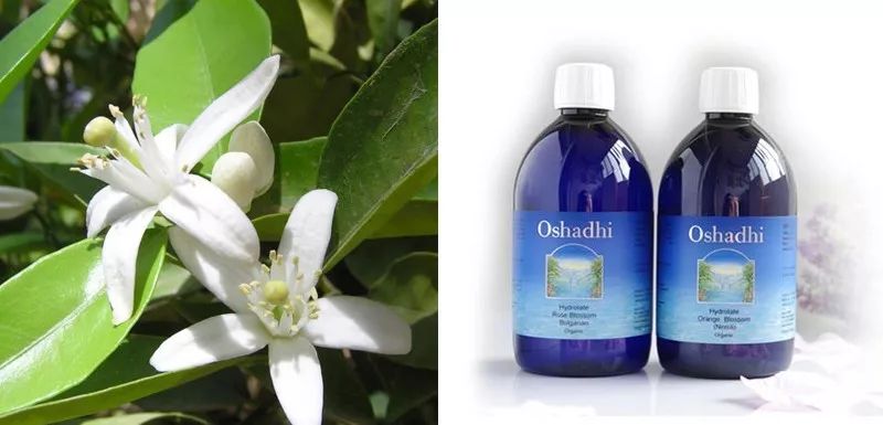 涓庣埍璞嗙殑浜插瘑浜掑姩,鍜岀埍璞嗕簰鍔ㄧ殑鐢滆湝鐬棿