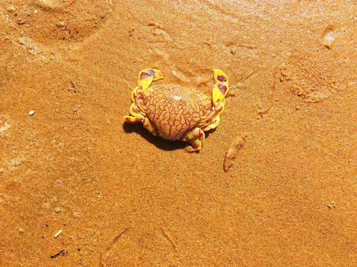 东戴河旅游住宿农家院,东戴河农家院住宿价格