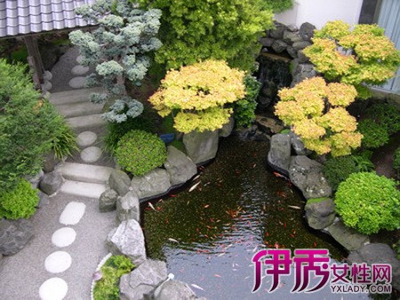 缸养锦鲤水要多深庭院鱼池要多深鱼池在我家的小庭院里占地不到2平米水最深也不超过