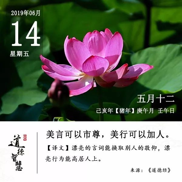 wow小学生,wow常州