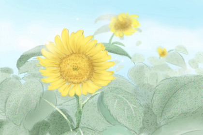 王者荣耀个性名字特殊字体,王者荣耀个性名字怎么弄