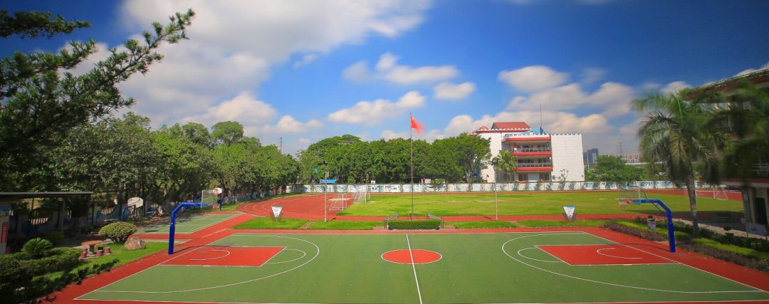 珍贵老照片1996,佛山珍贵老照片视频