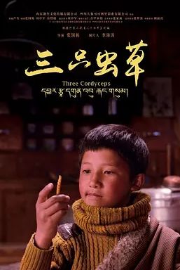 上海国际电影节汇集众多影展精粹,上海国际电影节首次推出露天展映