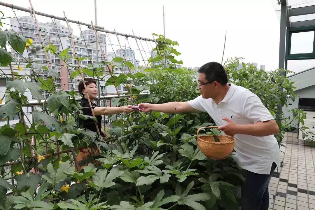 打造美好幸福的家,打造一片天地
