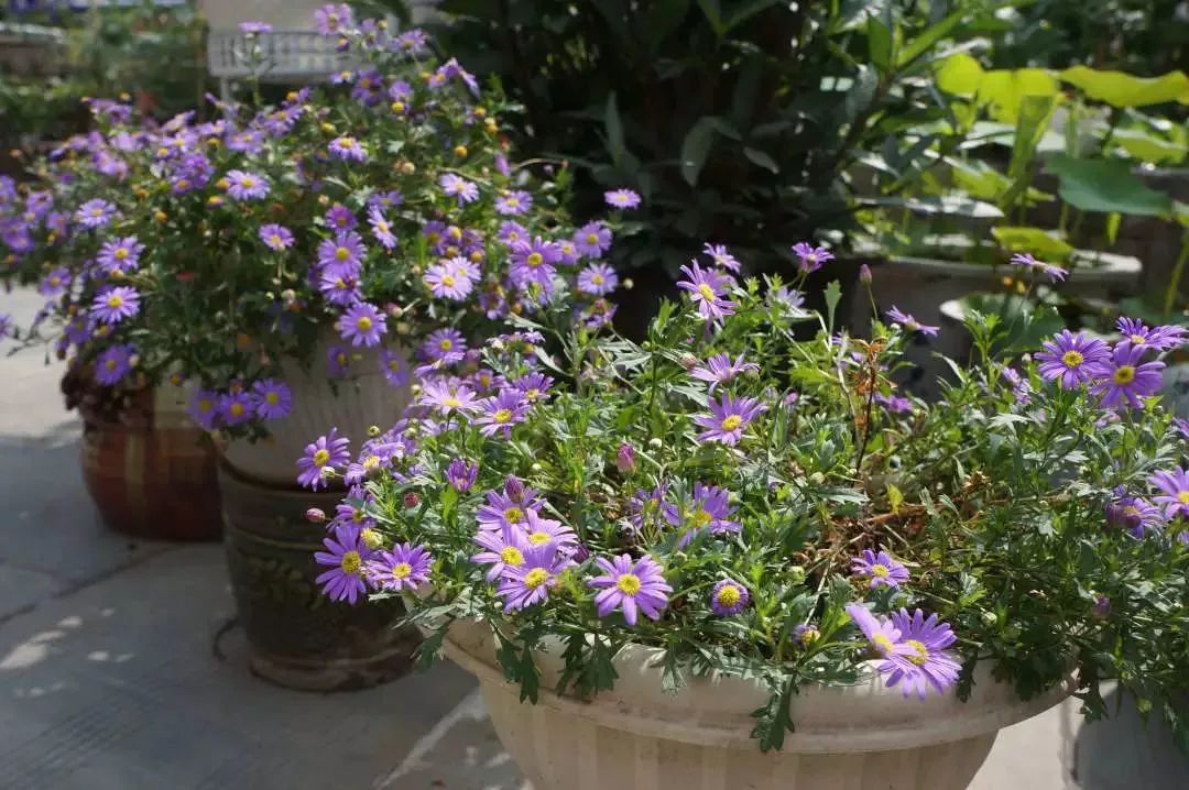 打造美好幸福的家,打造一片天地