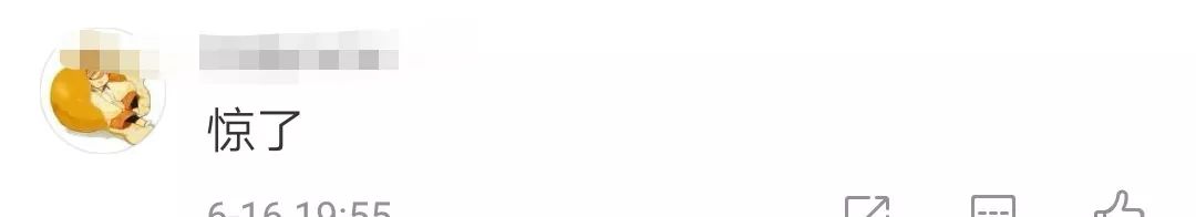 硕士论文被质疑了,硕士论文被批得很惨