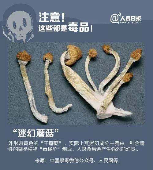 贩卖毒饮料判刑案,最近被抓的卖毒犯