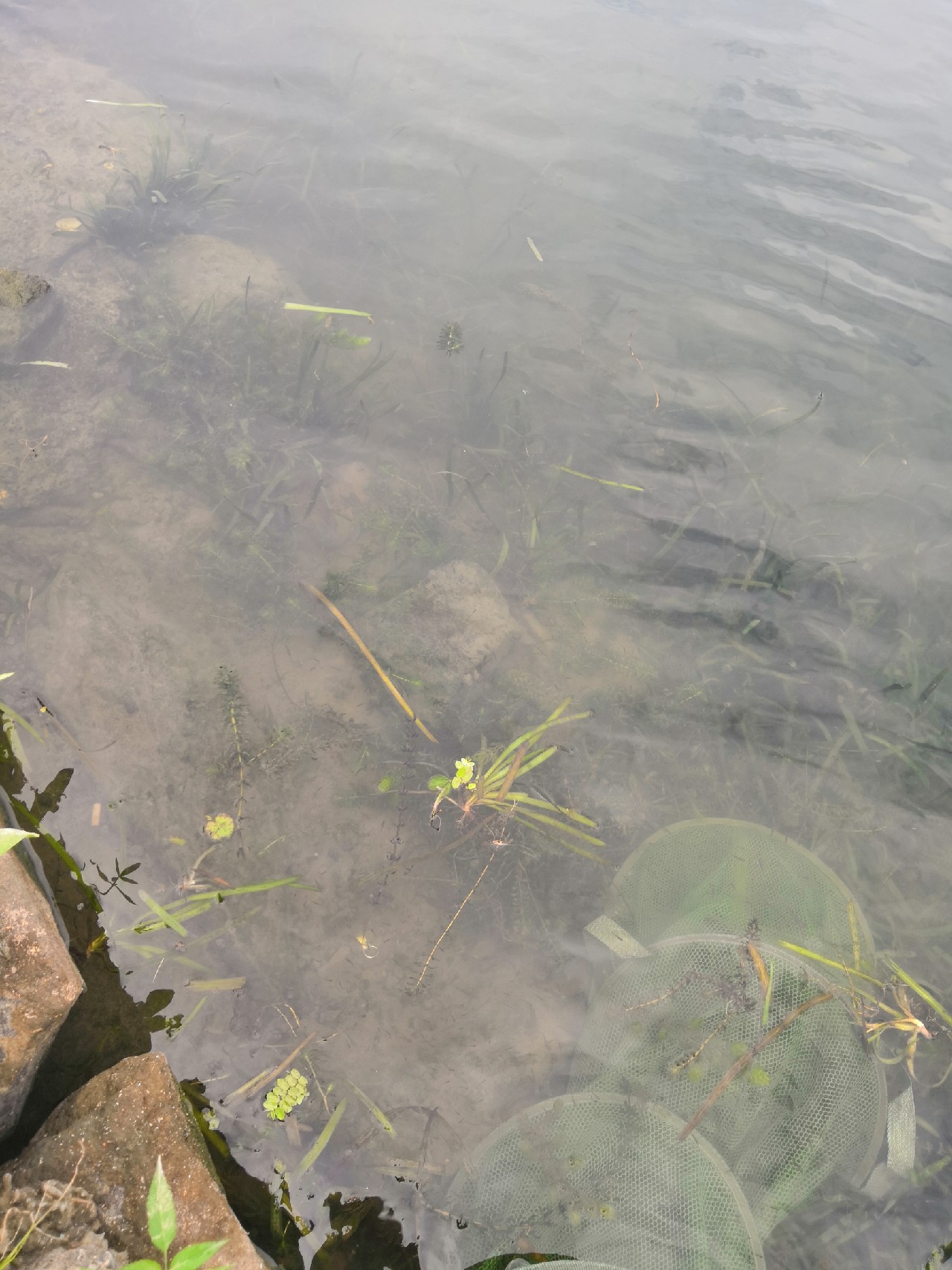 首钓笤溪钓位全靠枪逛拉逆鱼兼钓获多鱼种~