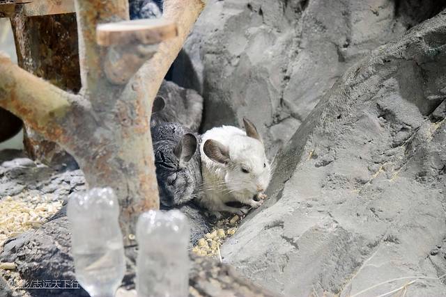 厦门最值得带孩子去玩的景点,带孩子厦门室内旅游景点推荐