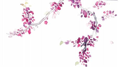 清华机航动专业怎么样,清华专业报考条件