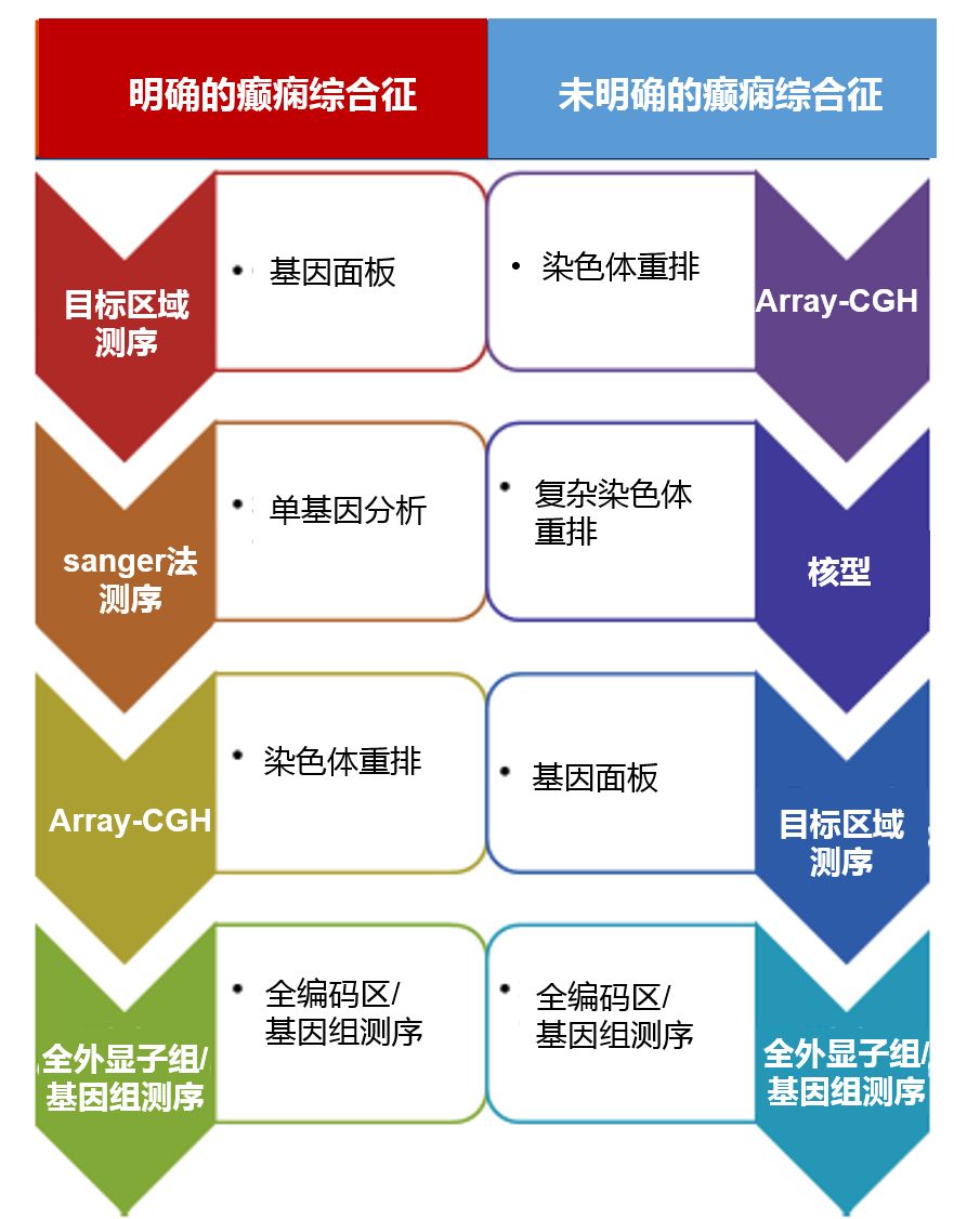 图表总结：癫痫遗传学新技术应用大全