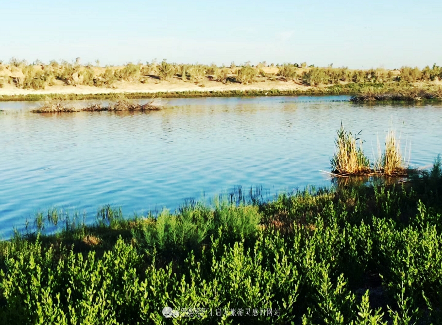 东道海子,东道海子最新