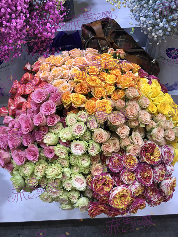 流星花园花店加盟费多少钱,流星花园鲜花加盟店巨鹿