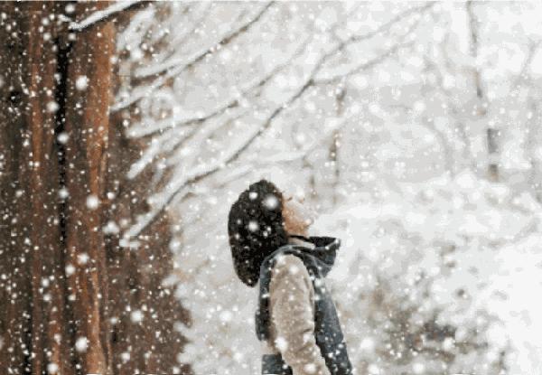 sos急救修复霜,sos急救霜柏翠丝