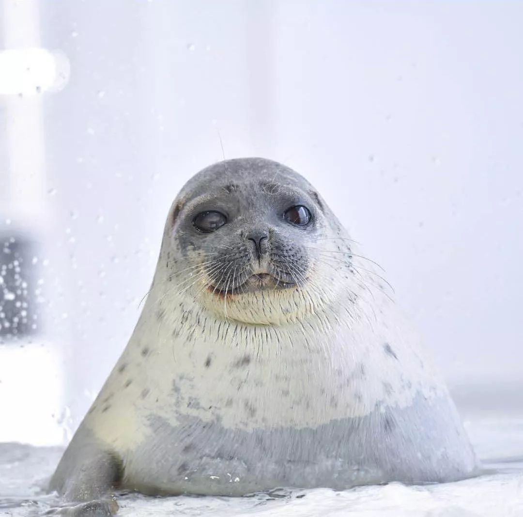 日本雨天大阪,日本下雨游玩景点推荐一下