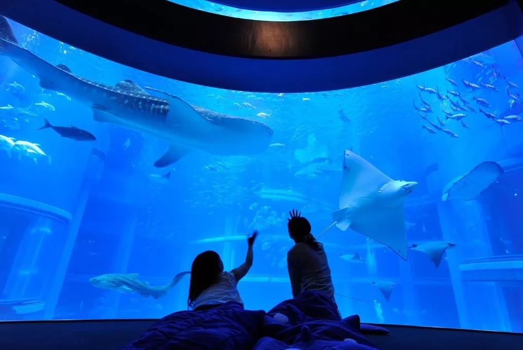 日本雨天大阪,日本下雨游玩景点推荐一下