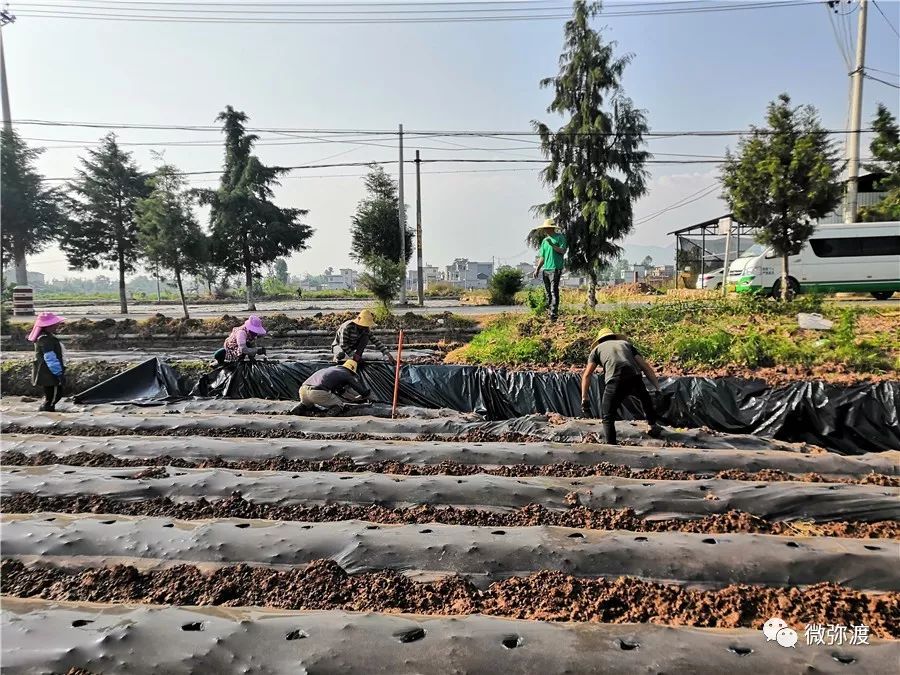 「为民」健康扶贫“组合拳”，拳拳到“要害”