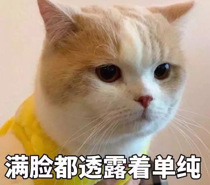 套路网贷被骗案例,网贷套路诈骗案收网