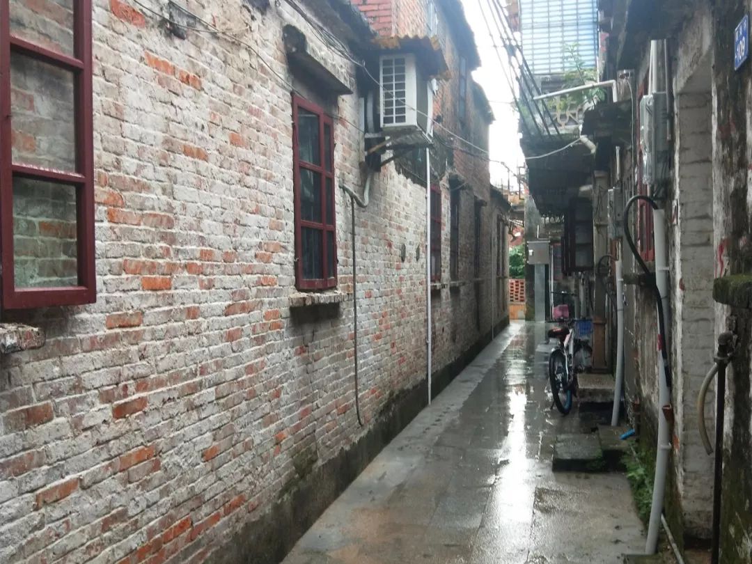 不再水浸、拐角见绿…藏在这里的旧时光与烟火气，更加绚丽