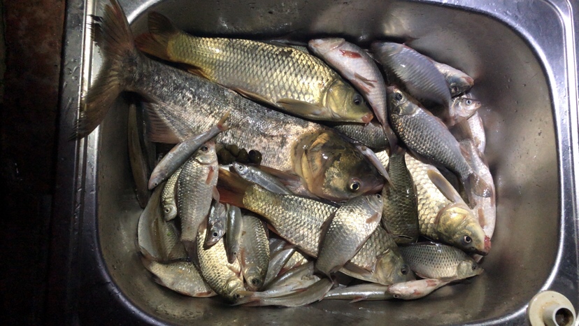 初春河流大水面野钓,大水面滑漂野钓