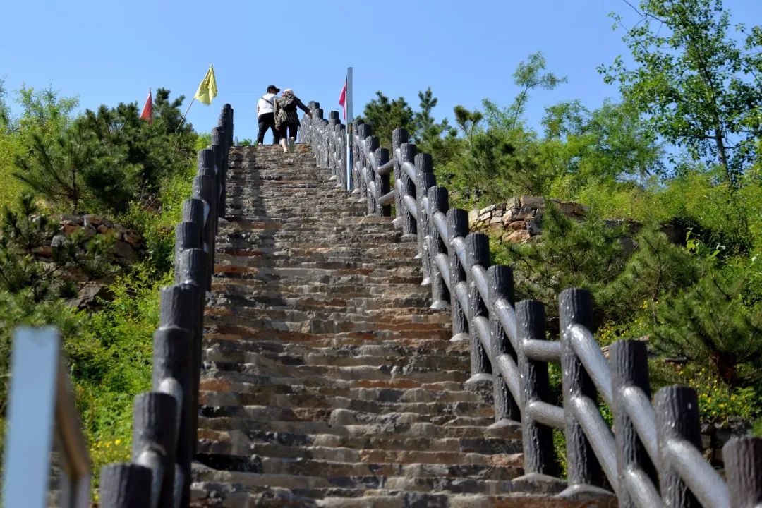 没想到！鹤壁这位66岁的老爷子，背后竟然有这么多故事......