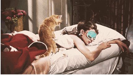 6月24日邯郸新闻早餐