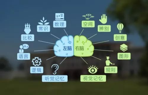 严选课|有一种变态能力,叫“人肉相机”式记忆