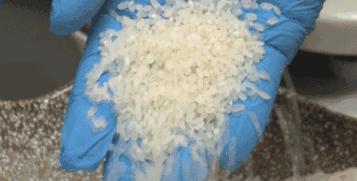 生虫的大米跟不生虫的大米哪个好,大米为什么有的生虫有的不生虫